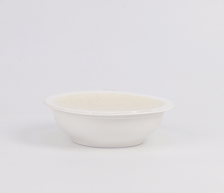 PP高阻隔碗TJ138040A