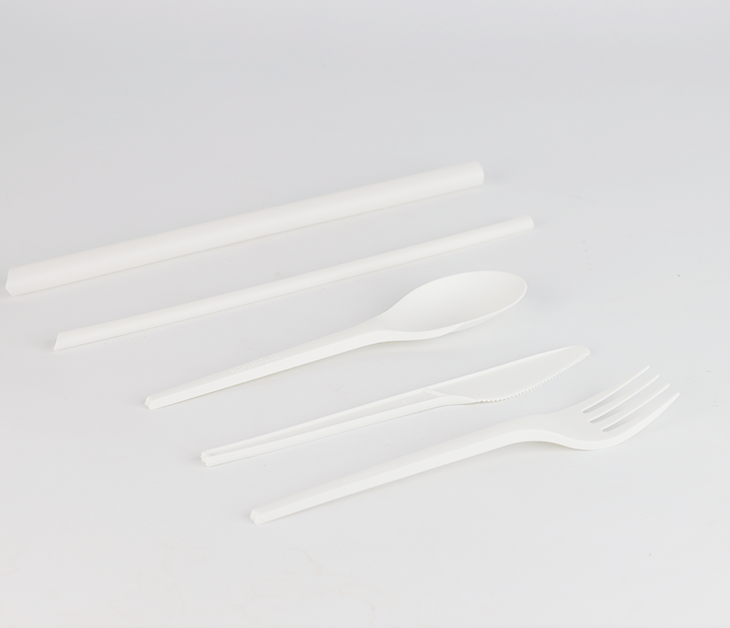 PLA可降解餐勺
