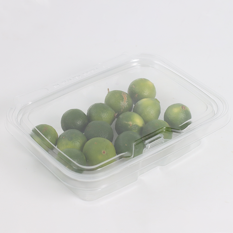 PET高透明连体水果盒181255