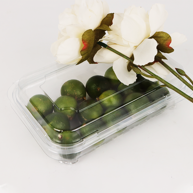 PET高透明连体水果盒<span class='highlight'>1</span>8<span class='highlight'>1</span><span class='highlight'>2</span>55